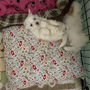 Meet your Posher, Tiffany